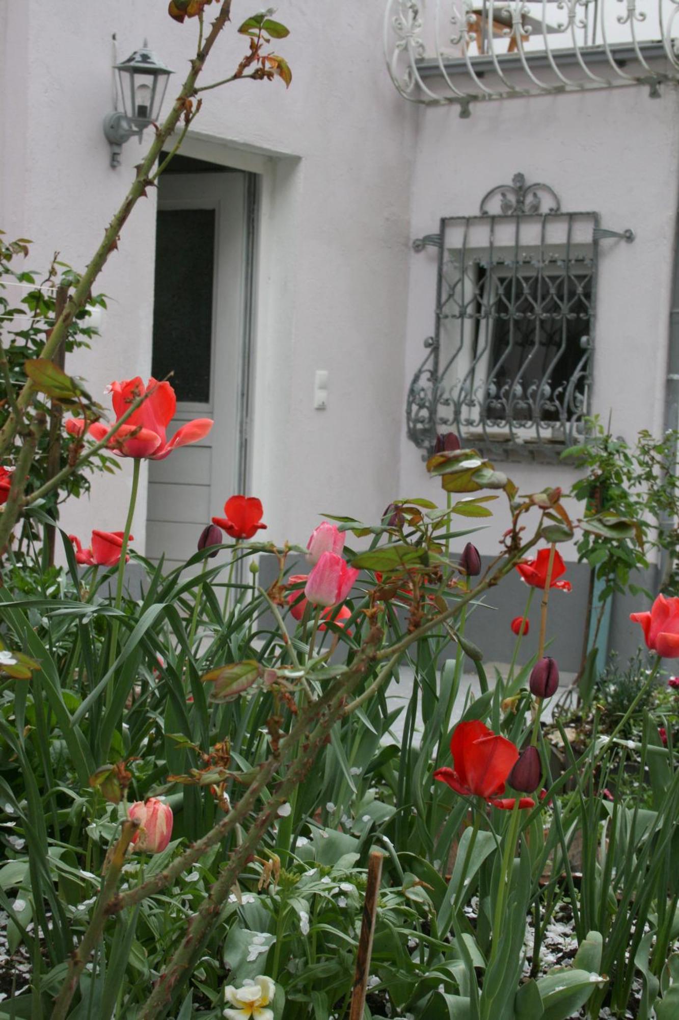 Apartmán Appertment Im Garten Worms Exteriér fotografie