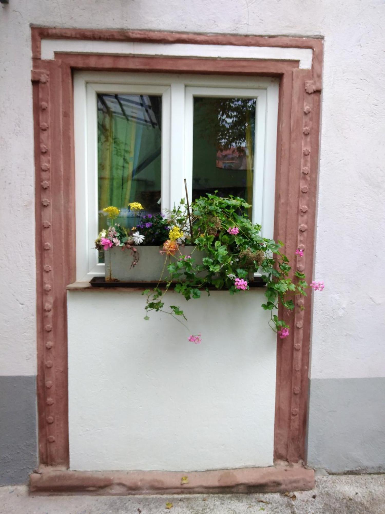 Apartmán Appertment Im Garten Worms Exteriér fotografie